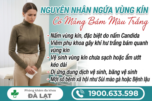 Hình ảnh minh họa